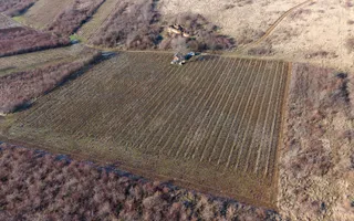 Vita-de-vie Premium  teren de 6800 mp în Covăsinț - Poză 11