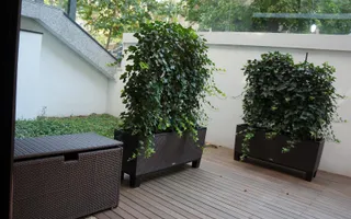 Apartament unic Primăverii - Piața Charles De Gaulle - Poză 12