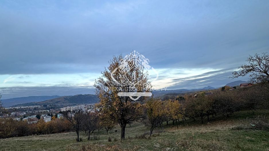 Teren 7199mp Intravilan cu Vedere Panoramica Superbă, Ideal Investitie - Poză 14