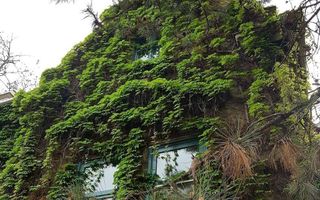 Imobil investitie zona centrala - Poză 3