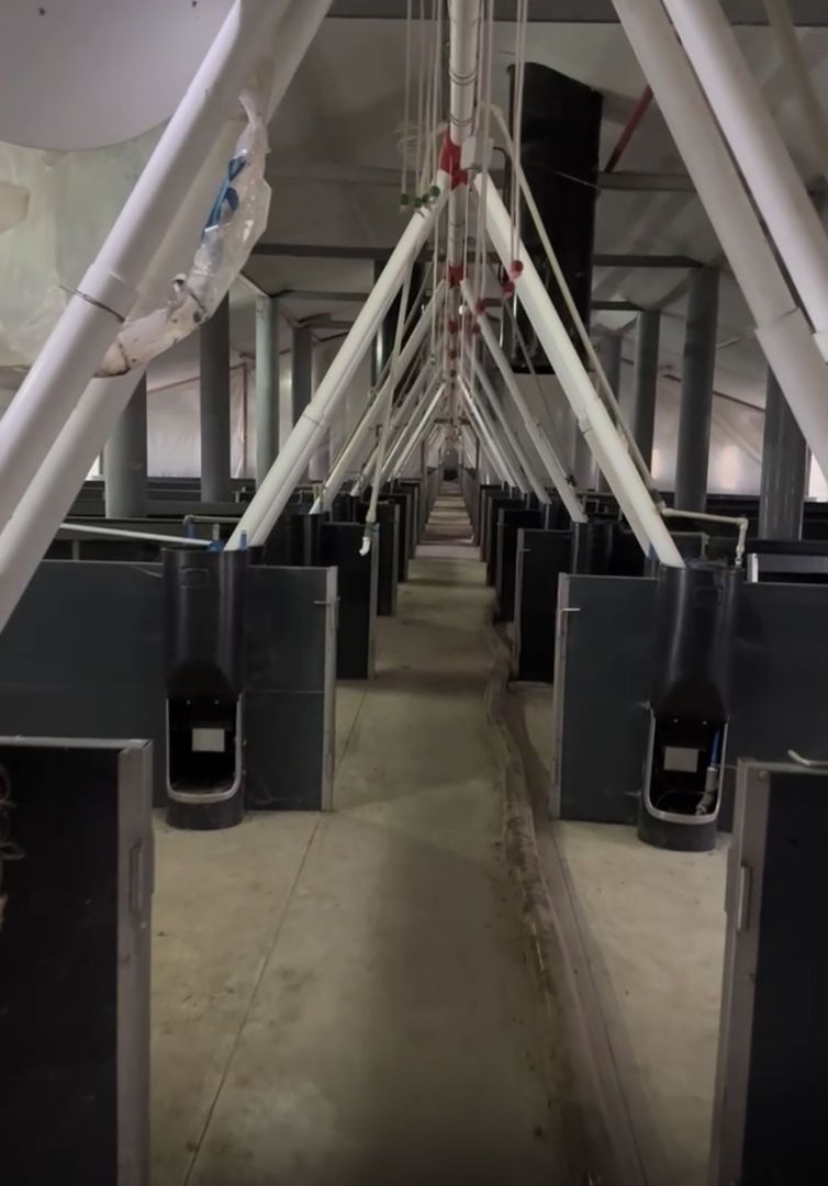 De Vânzare: Hală Modernă pentru Creșterea Porcilor – Complet Automatizată - Poză 5