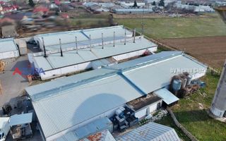 COMISION 0% - HALE Calinesti Arges - Poză 11