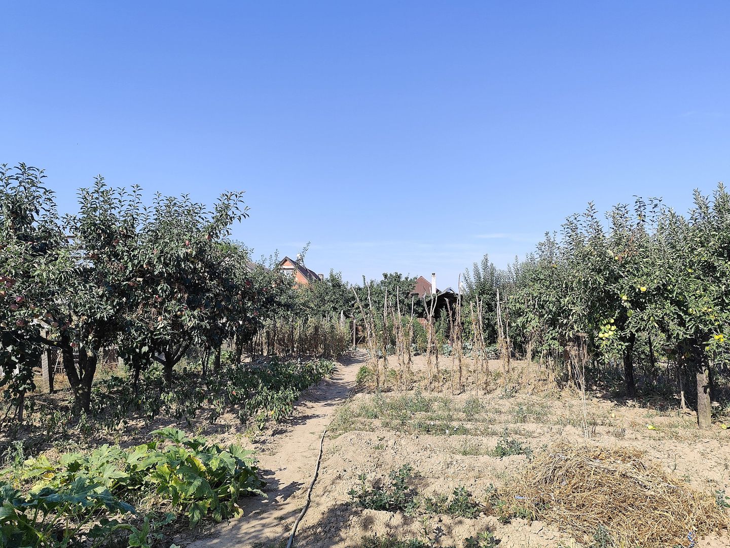 Casa la tara in Sacadat, Bihor, teren 2826 mp, acces auto - Vanzare - Poză 17