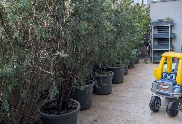 Apartament, 64 m², - Poză 8