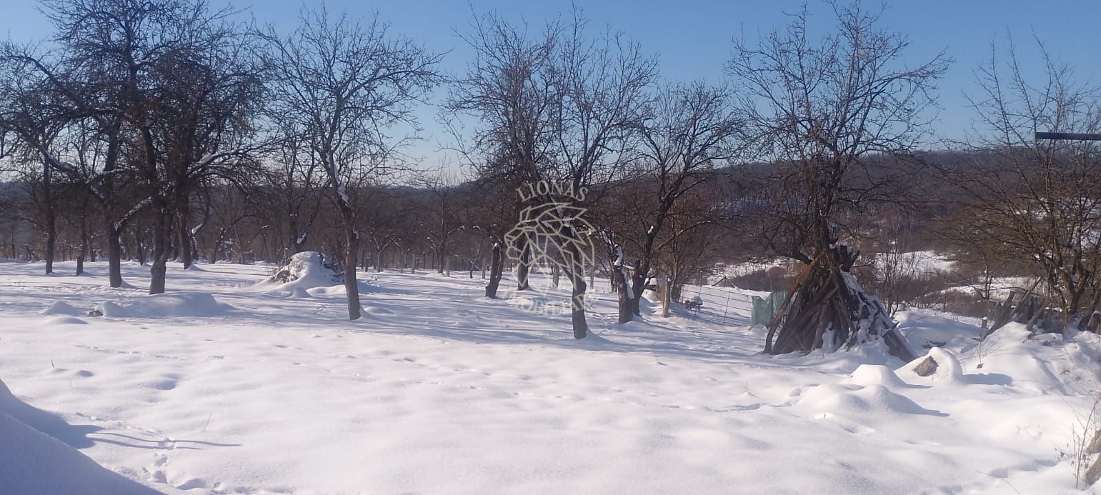 Casa Renovata 3 camere 115 mp-teren 1,5 Ha-Sat Mures, 15 km de Beclean - Poză 3