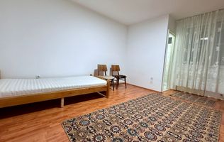 PET FRIENDLY! Garsoniera de inchiriat, balcon, cartier Manastur