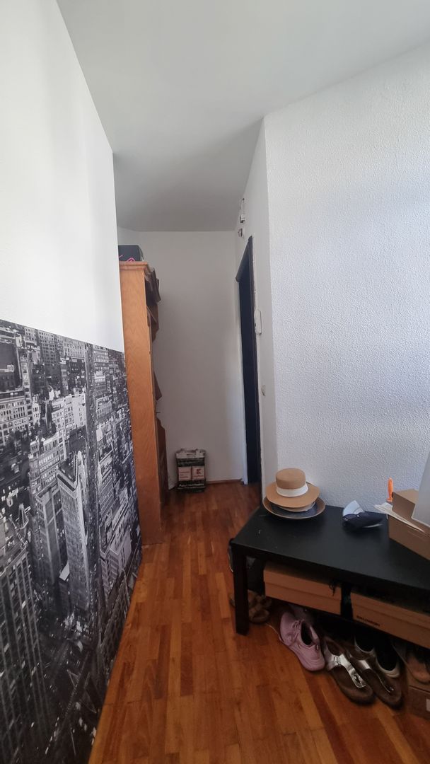Gradina Icoanei // Vila // 70mp - Poză 10