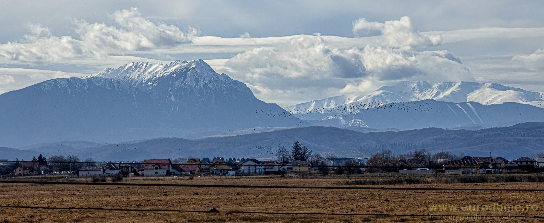 Casă nouă, intrare Stupini - Poză 2
