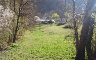 Teren in Comuna Muereasca_suprafata 7489 mp_mixt_situat la 170 m de Primarie - Poză 2