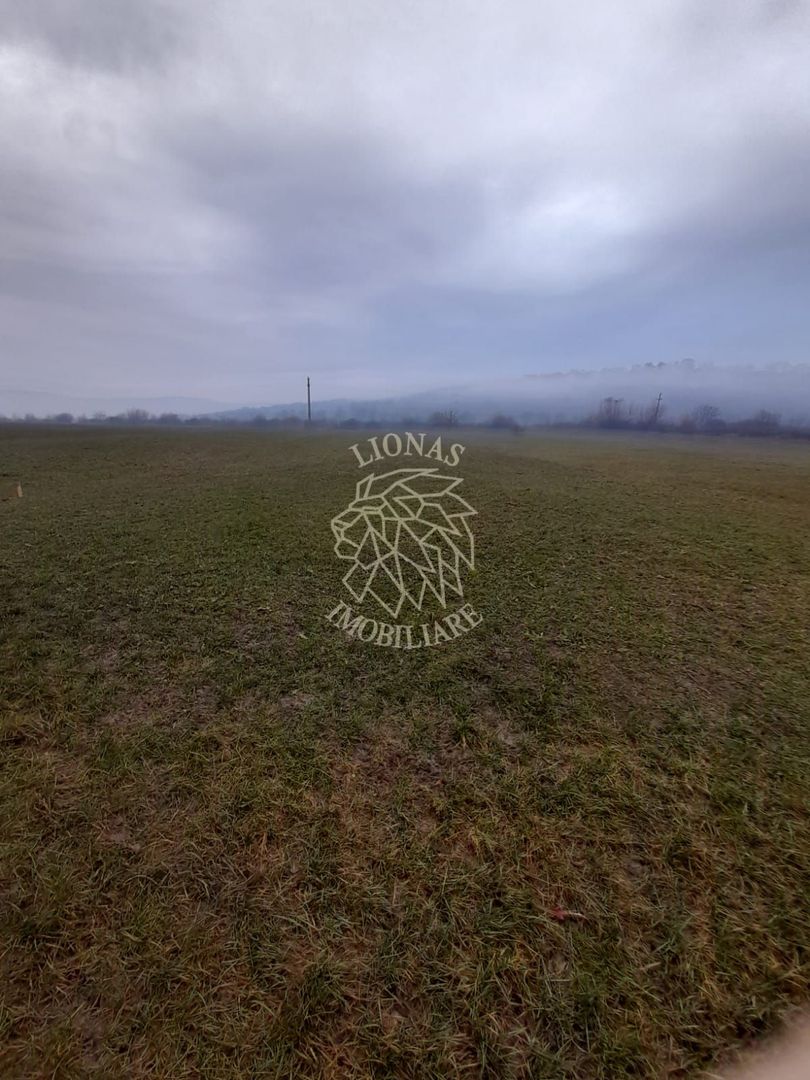 Teren 1698 mp-ideal investitie-Dumitrita, 15 km de Bistrita - Poză 3