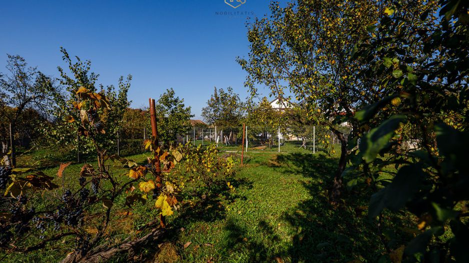 Pensiunea Bella Arad - O afacere profitabilă, la cheie! - Poză 40