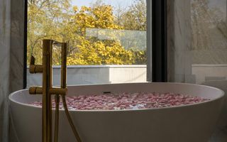 VILA INDIVIDUALA PISCINA | PADURE | BANEASA - Poză 12