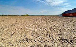 Teren intravilan – Oșorhei | 2878mp - Poză 3