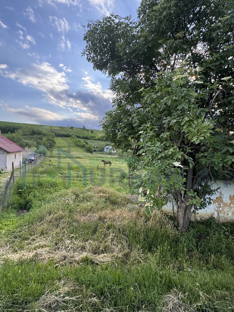 Teren intravilan de 6000 mp in Coarnele Caprei, Valea Babei, cu iesire la strada principala - Poză 5