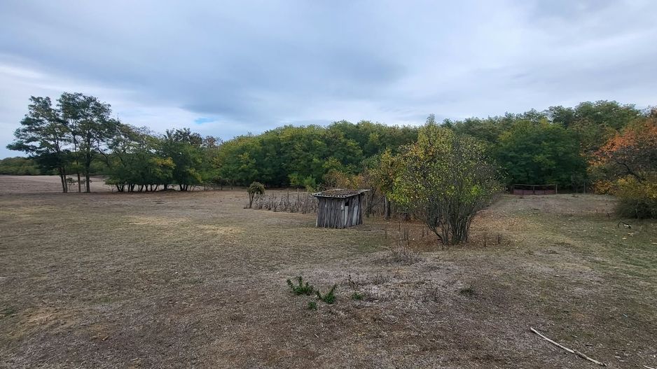 FERMA CU TEREN DE VANZRE - Poză 1