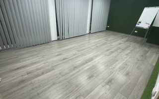 Spatiu Comercial Baba Novac | Clinica - Poză 4