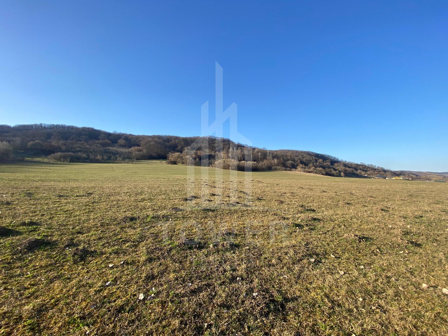 Teren de 7.500 mp de vânzare în Bradu, Avrig-COMISION 0% – lângă râul Olt. - Poză 5