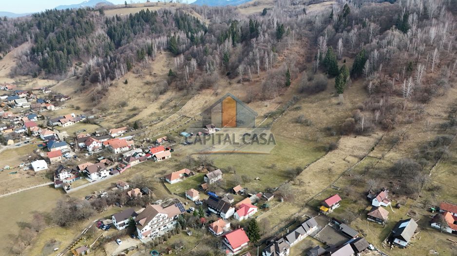 Teren de poveste pe coama muntelui – Vedere panoramică Piatra Craiului - Poză 3