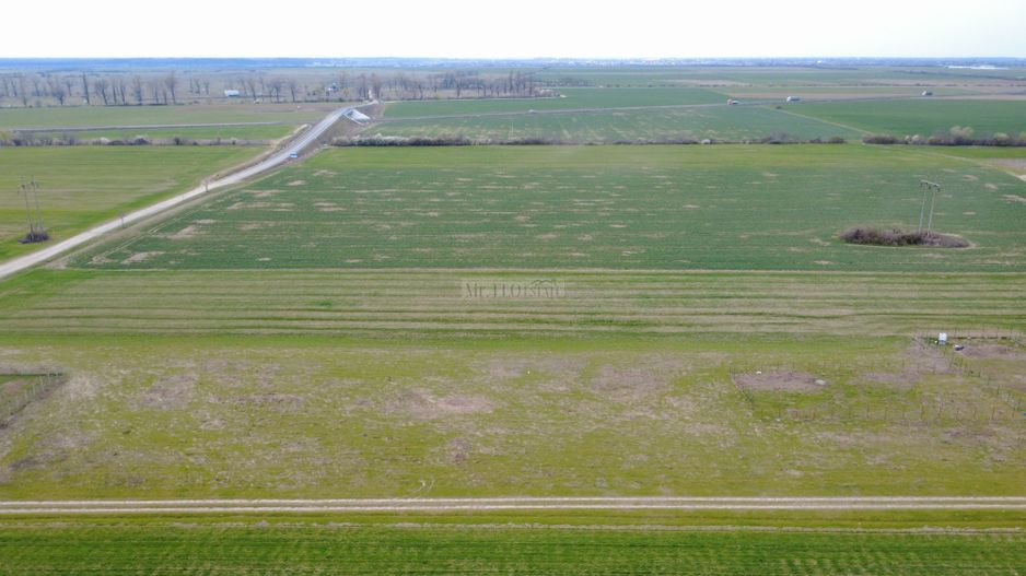 Teren ideal pentru casă sau investiție – Chișoda (Giroc), Poligonului - Poză 4