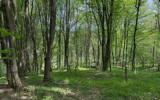 Ideal pentru cabana | zona de camping - Poză 2