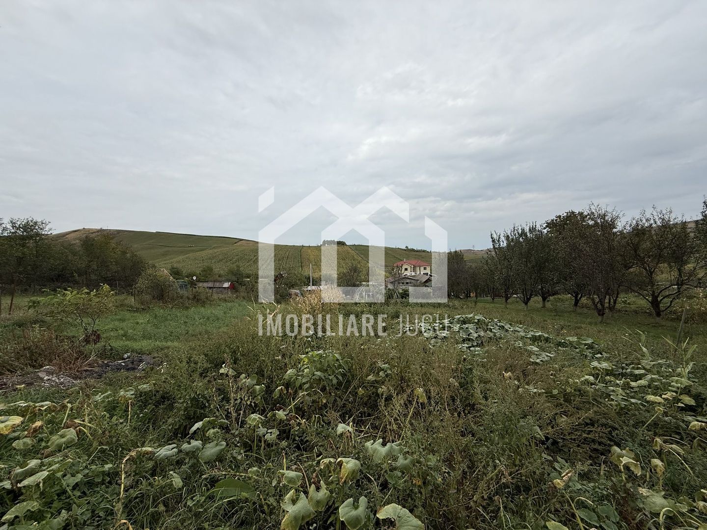 Teren construibil – 1.000 mp | Gădălin - Poză 3