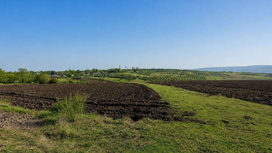 Teren 12 ari pentru casa ta lângă natură | gaz + curent | Isacova (Orhei) - Poză 36