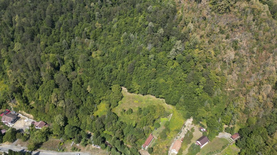 Teren intravilan de 1500 mp pe deal în Moneasa - Poză 3