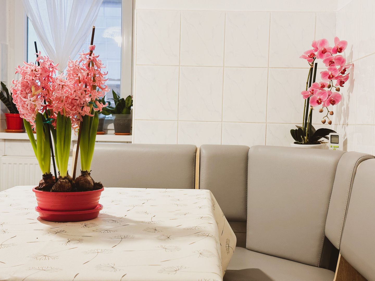 VANDUT - 2 camere - Telegrafului - Poză 15