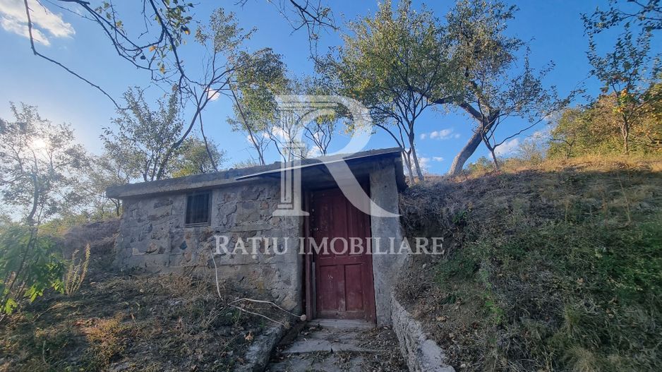 Casă renovata cu teren generos | Anexe | Gurasada | Hunedoara - Poză 28
