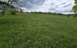 Teren 2,4 Ha cu utilități-Oportunitate Investitie-Herina - Poză 5