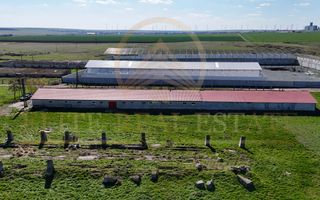 Tariverde - Ferma zootehnica functionala, 3 hectare teren intravilan! - Poză 6