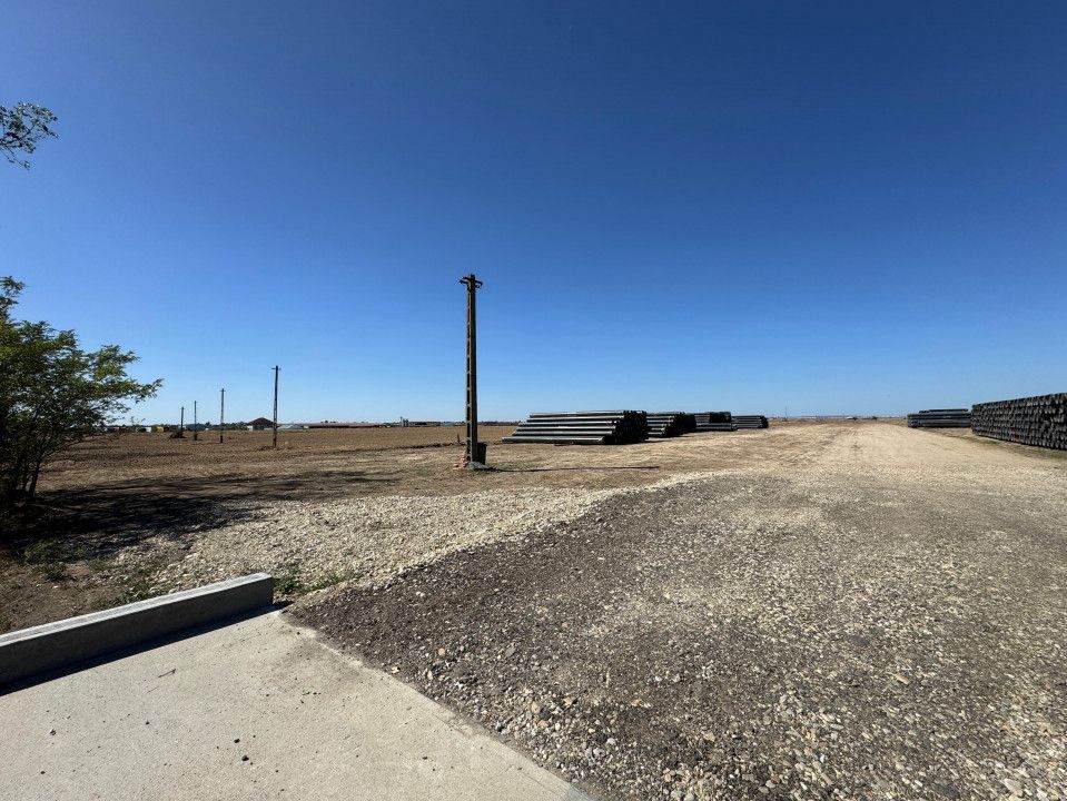 Teren extravilan de vânzare – Căteasca, Argeș | 27.201 mp | Deschidere 58,55 m - Poză 4
