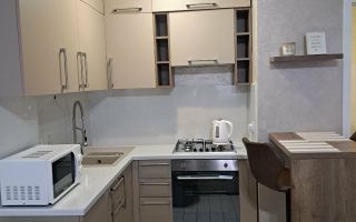 Apartament 1 dormitor + living | Centru | Lev Tolstoi 63/1 | Chirie - Poză 5
