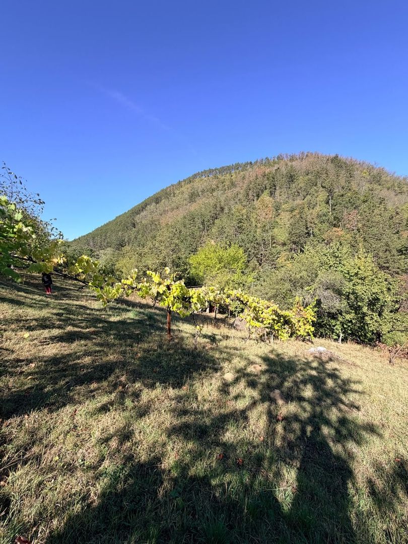 Casa de vanzare 1500 mp Cugir zona linistita - Poză 12