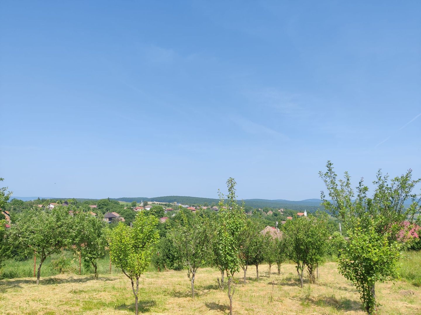 Casa individuala cu teren de 5000 mp, Deusu - Poză 8