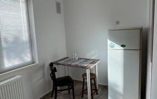 Garsoniera Dristor, mobilata decomandata - Poză 8