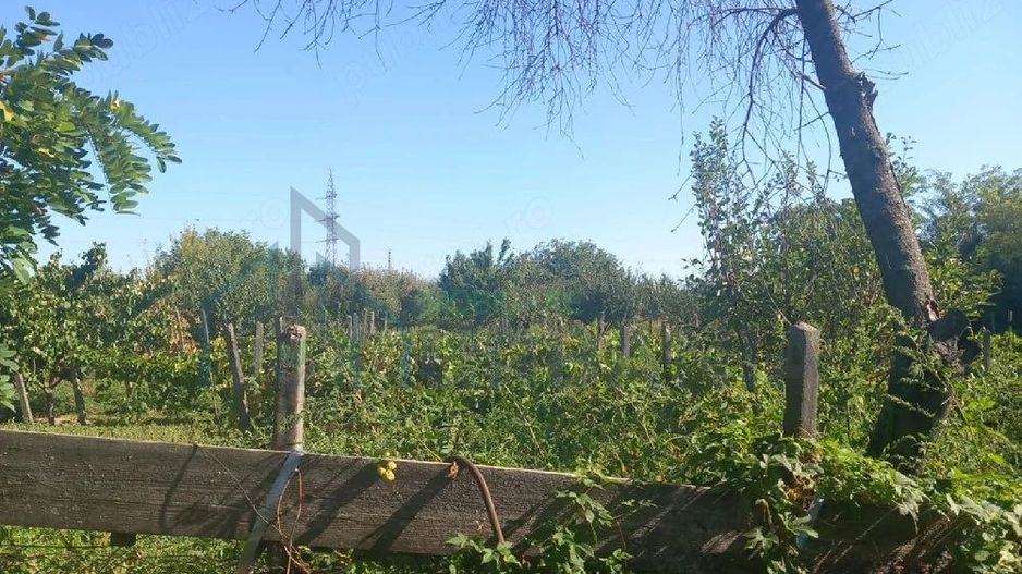 Casă de vânzare în Comuna Costuleni, județul Iași - Poză 4