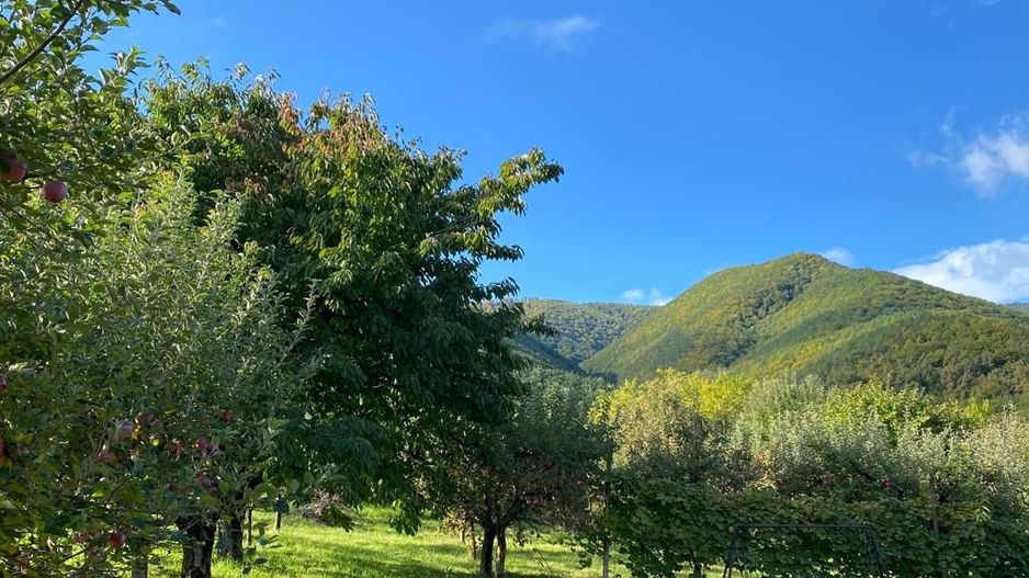 Teren intravilan 2100 mp - Valea Avligului - Sibiu - Poză 5