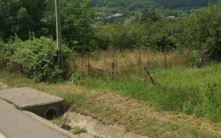 Teren intravilan 3400 mp-deschidere la DN17-Viisoara - Poză 1