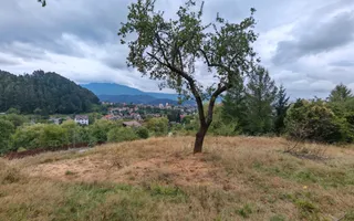 Teren intravilan cu vedere panoramica Sacele, Brasov - Poză 11