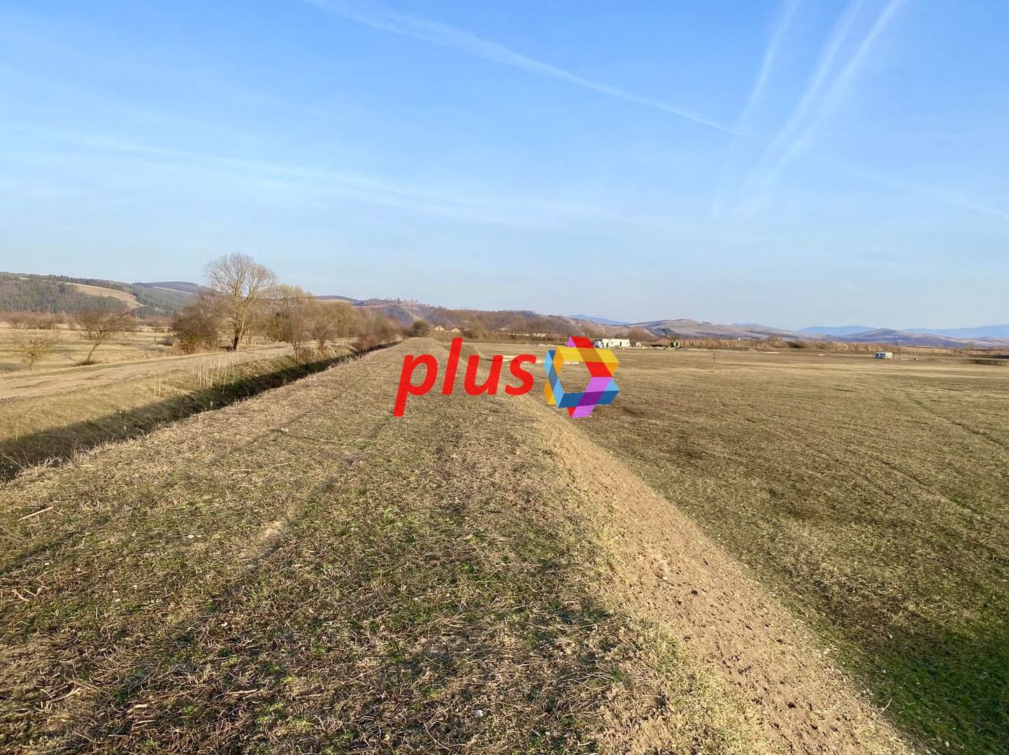 Teren 11 ha cu heleșteu 3 ha - Poză 4