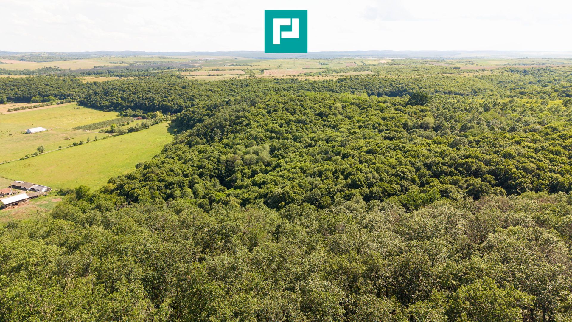TEREN AGRICOL EXTRAVILAN  22.900 MP LIPOVA - Poză 9