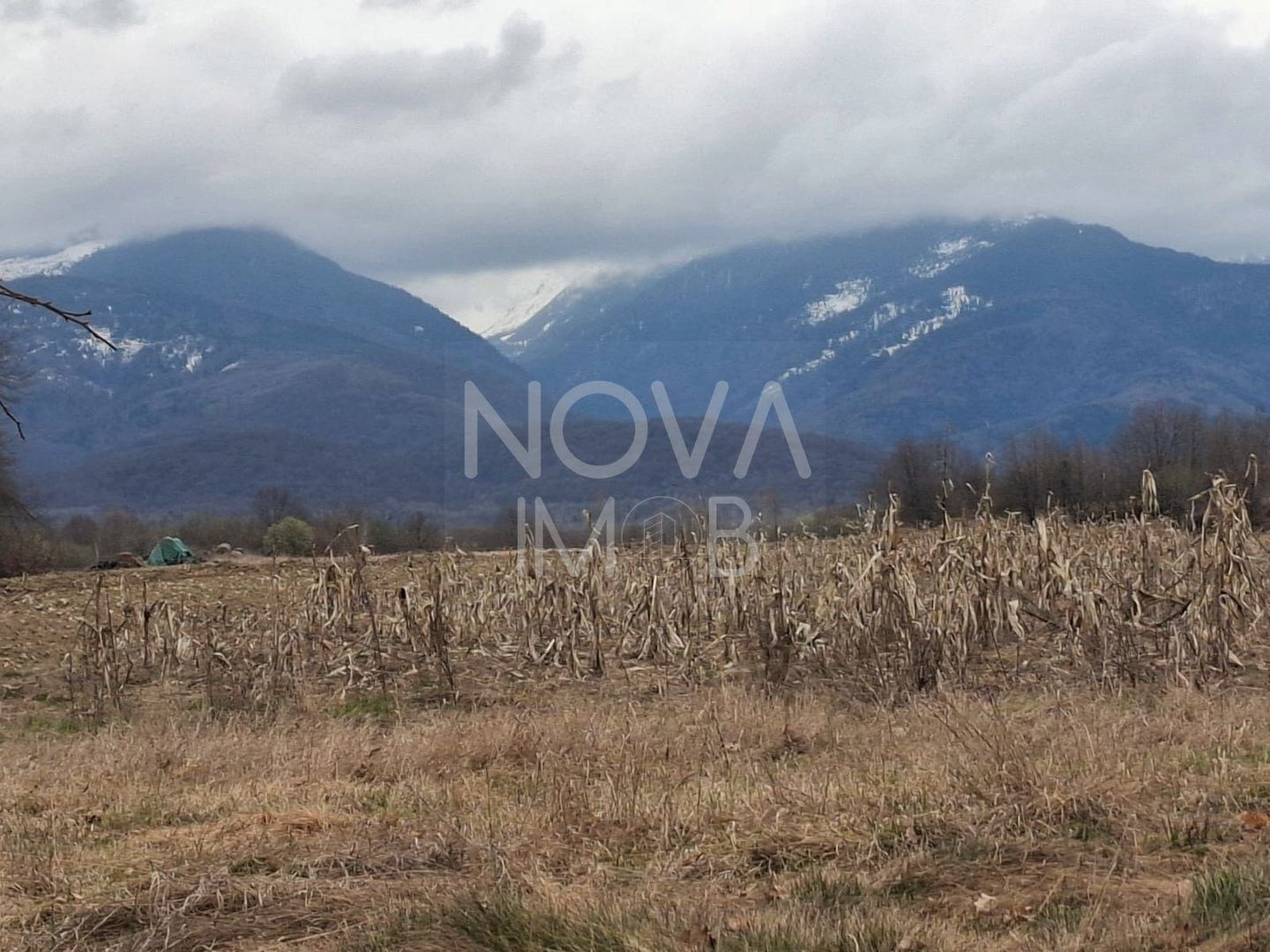 Teren extravilan de vanzare - Arpasul de Sus - Poză 3