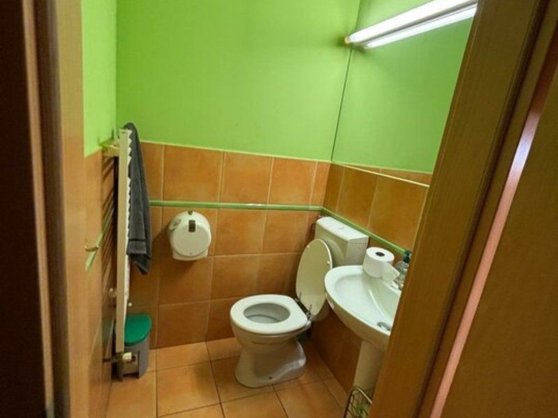 Spatiu comercial langa Medicina si Prefectura - Poză 12