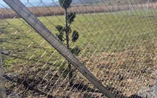 Teren | EXTRAVILAN | 500 MP | Bradu - Poză 8