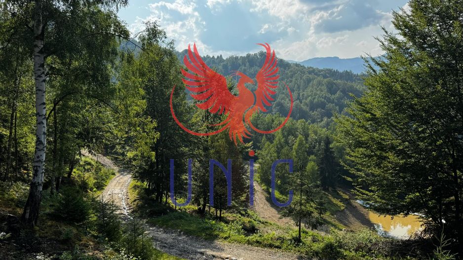 18000 mp de natura pura ,Lupeni, langa Straja - Poză 5