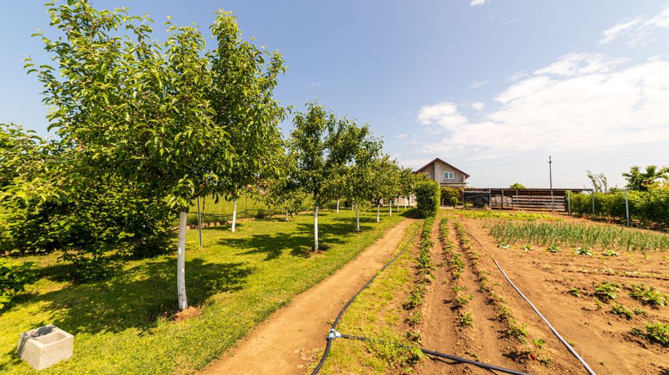 Nou! Casă frumoasă în Sâmbăteni - Poză 25