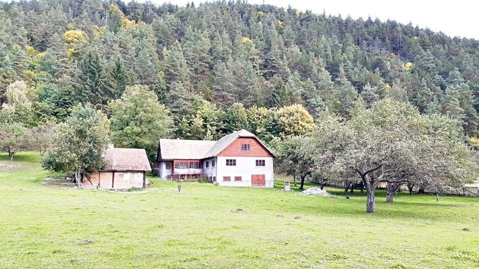 Teren superb de 16240mp, parcelabil, in Bran la intrare in Moeciu de Jos - Poză 14