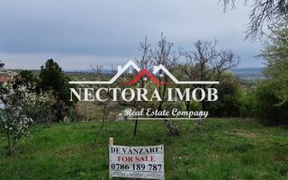 NECTORA IMOB-Teren Zona Podgoria,3400 mp (Intravilan + Extravilan) - Poză 3