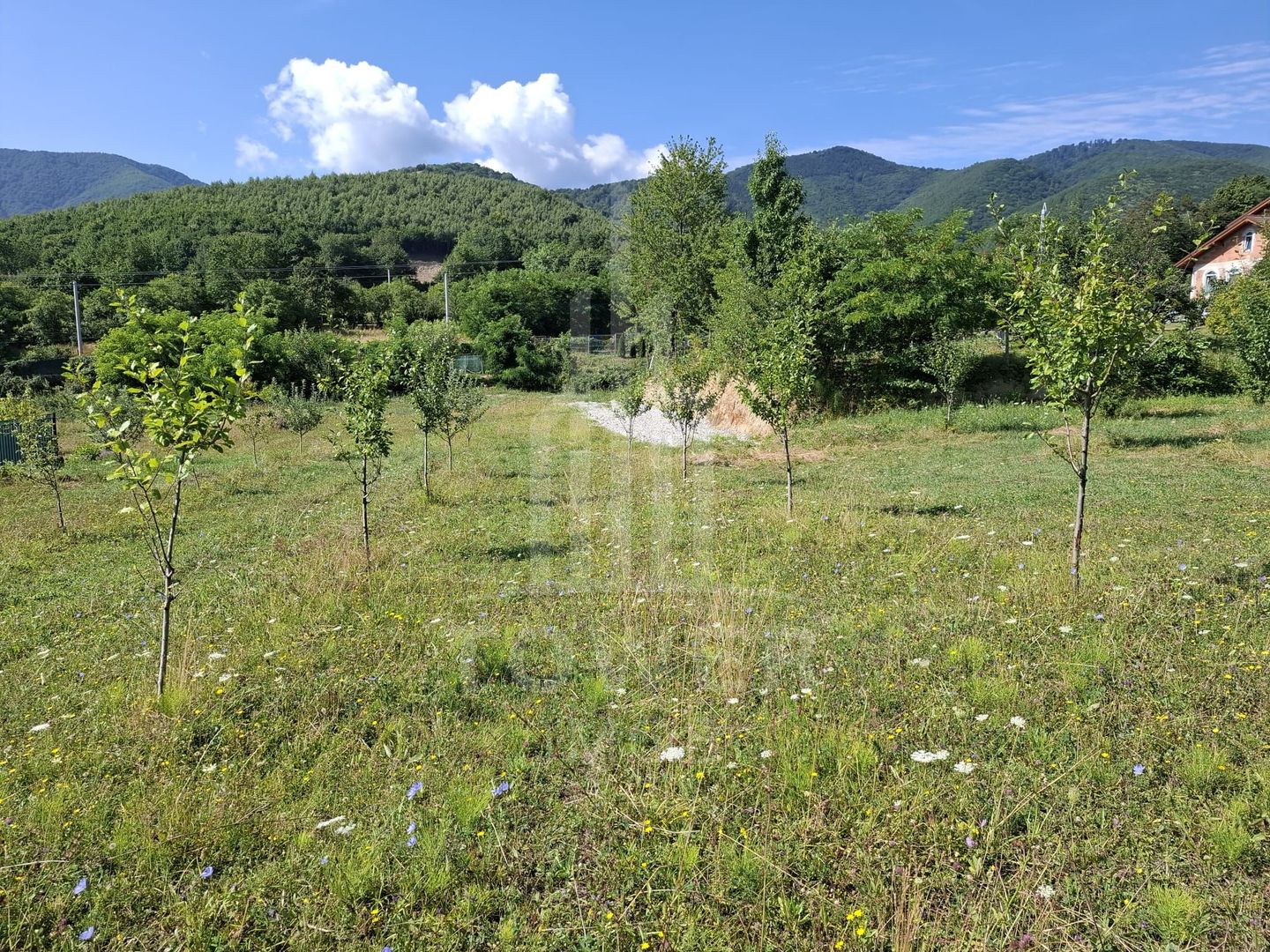 Teren în Tocile cu priveliște către munte - Poză 3